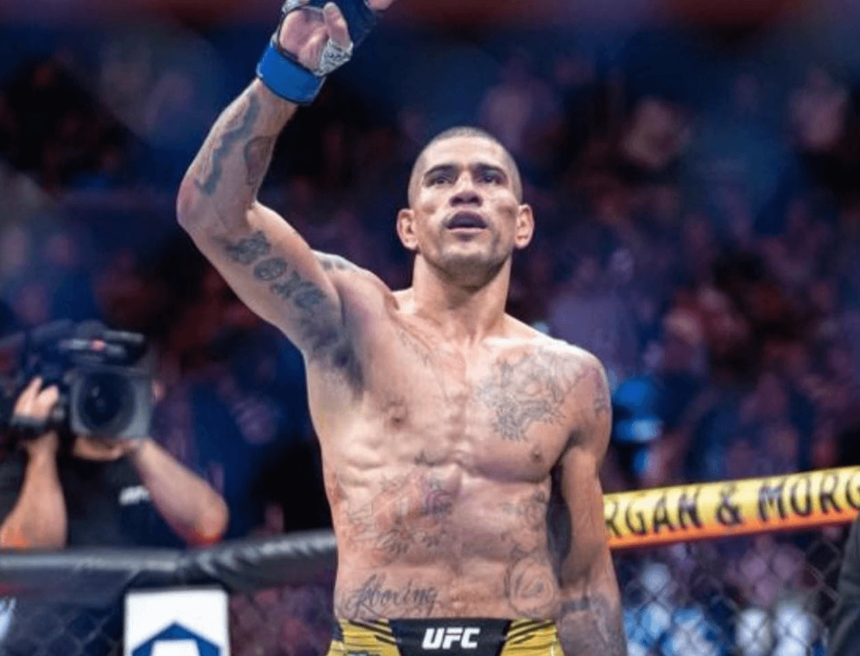 Alex "Poatan" Pereira: Da Adversidade à Glória no UFC e no Kickboxing - Thai Shark