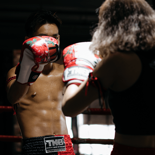 O Que Procurar em um Equipamento de MMA de Alta Qualidade? Dicas para Escolher os Melhores Produtos - Thai Shark