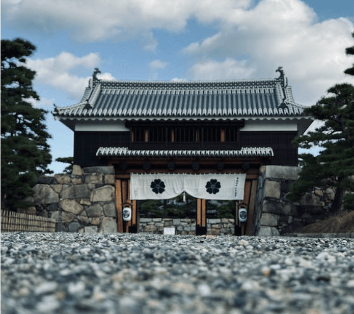 Uma Viagem pelo Mundo Através do Combate - Japão, berço do Judô - Thai Shark