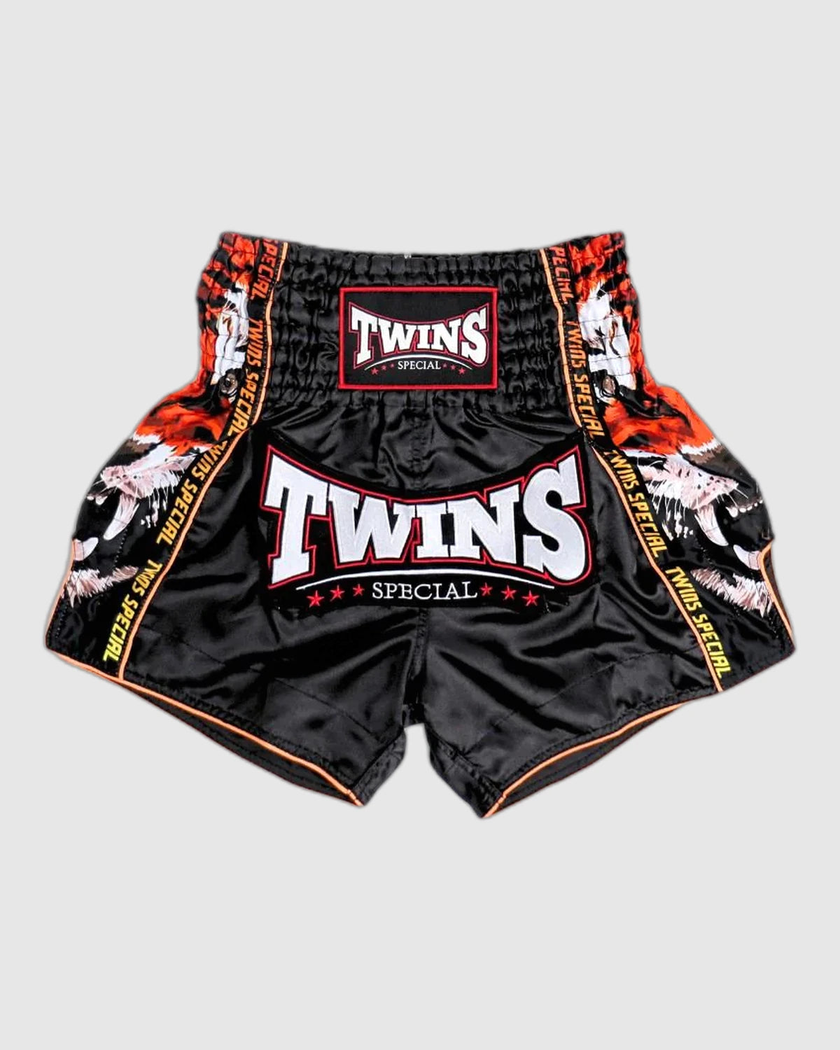Shorts Muay Thai Twins - Payak