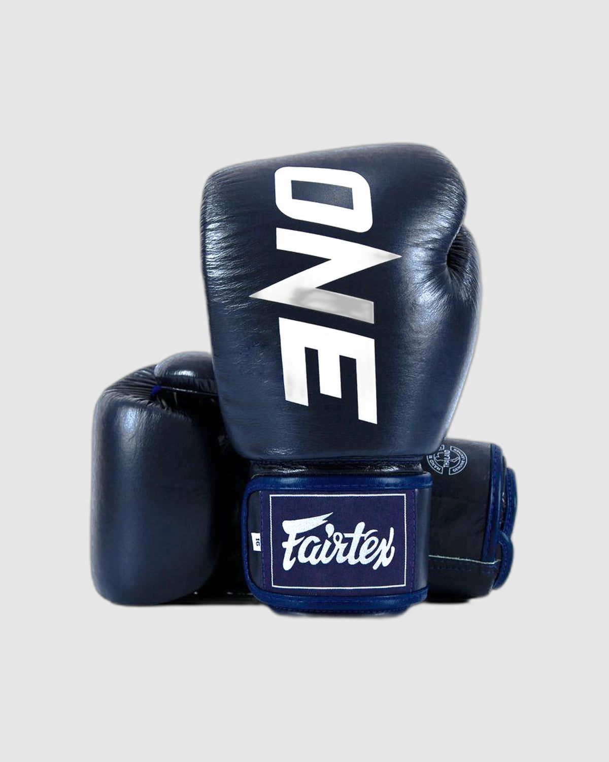 Luva Fairtex - ONE