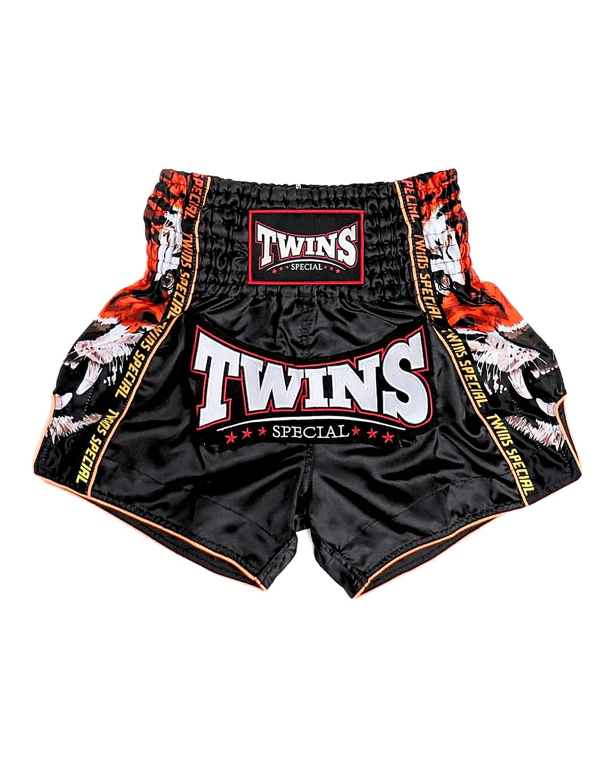 Shorts Muay Thai Twins - Payak