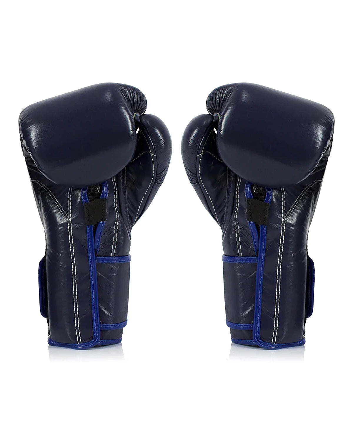 Luva Fairtex - BGV9 | Thai Shark